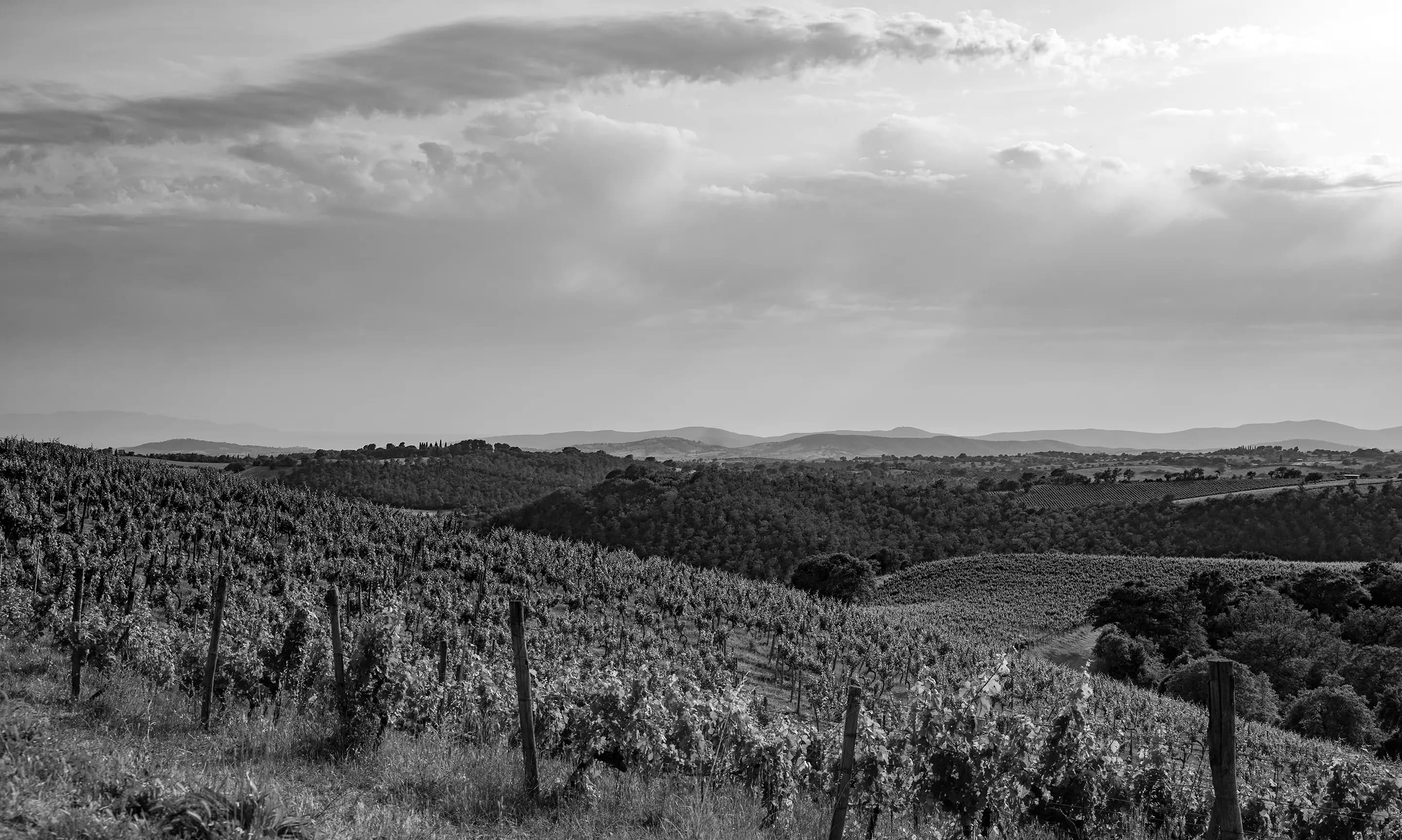 Poggio Argentato